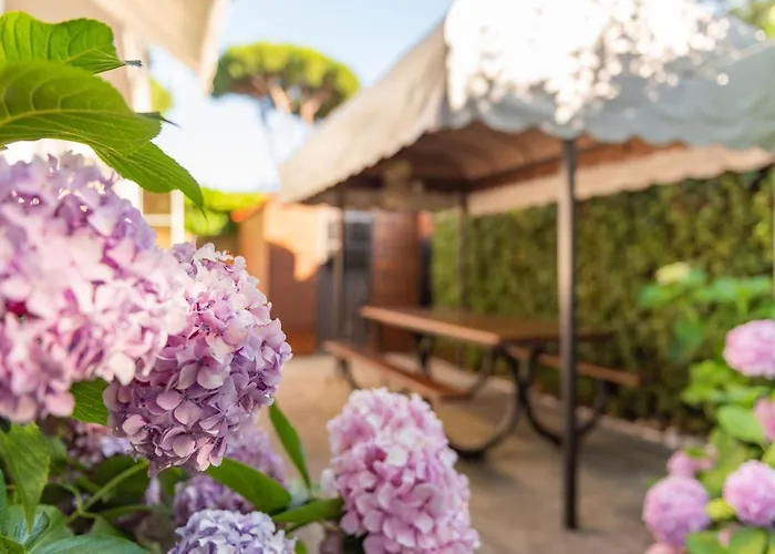 Apartment Holiday Versilia