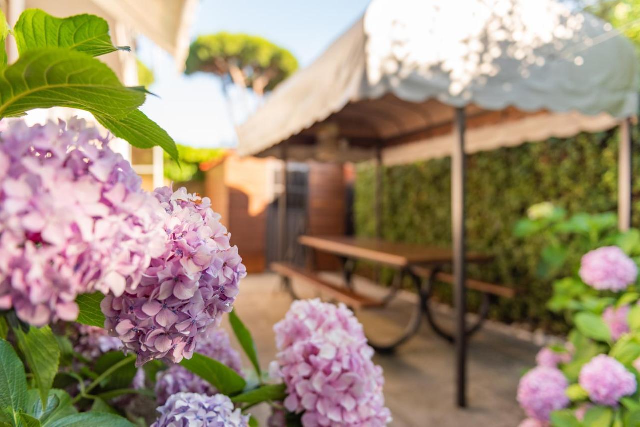 Apartment Versilia *