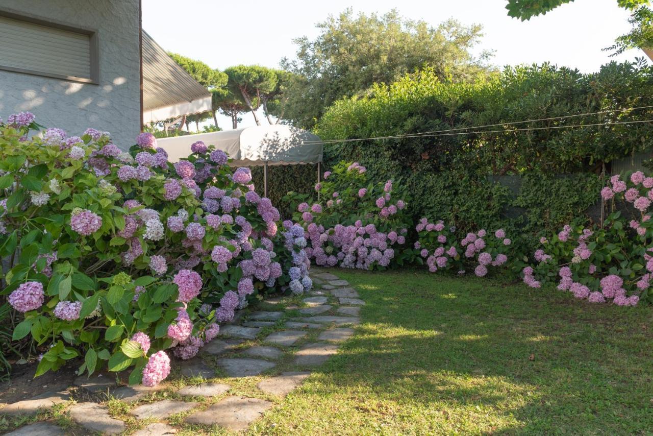 Versilia Apartment Camaiore